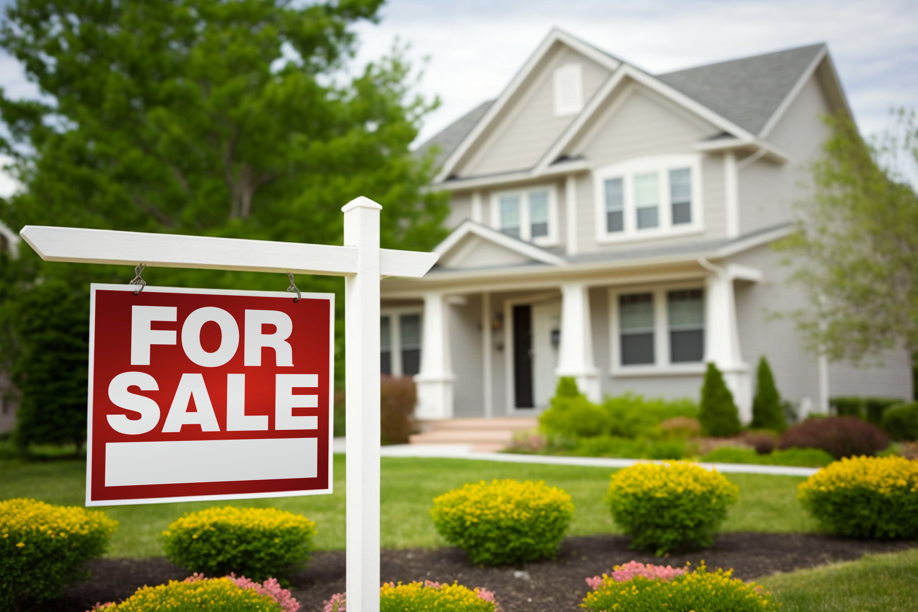 Real estate listing prep and touch-up work