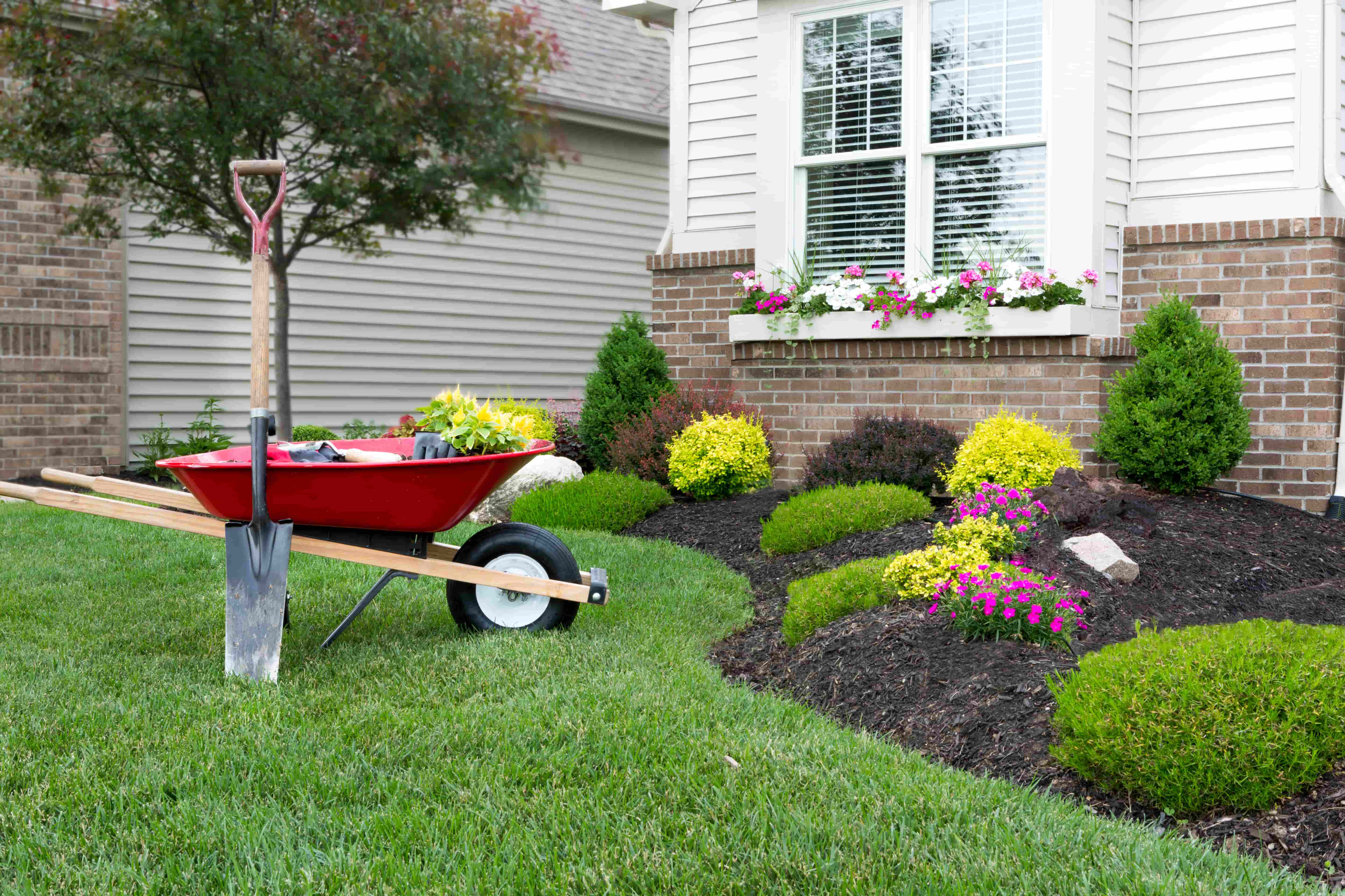 Landscaping and seasonal yard maintenance